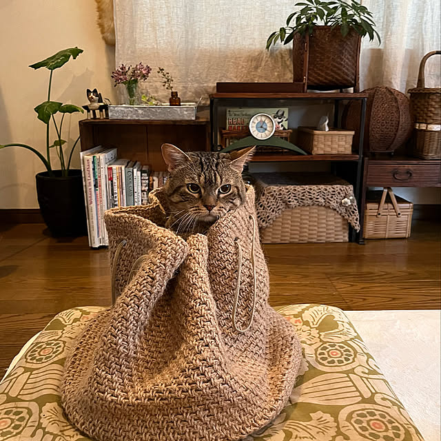 kuuさんの実例写真