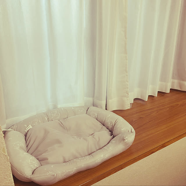 uchidaizuさんの実例写真