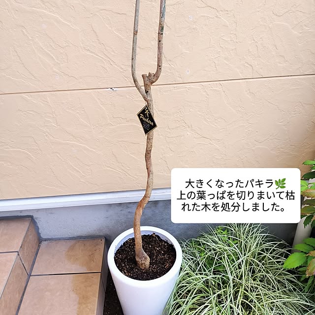 feuileさんの部屋