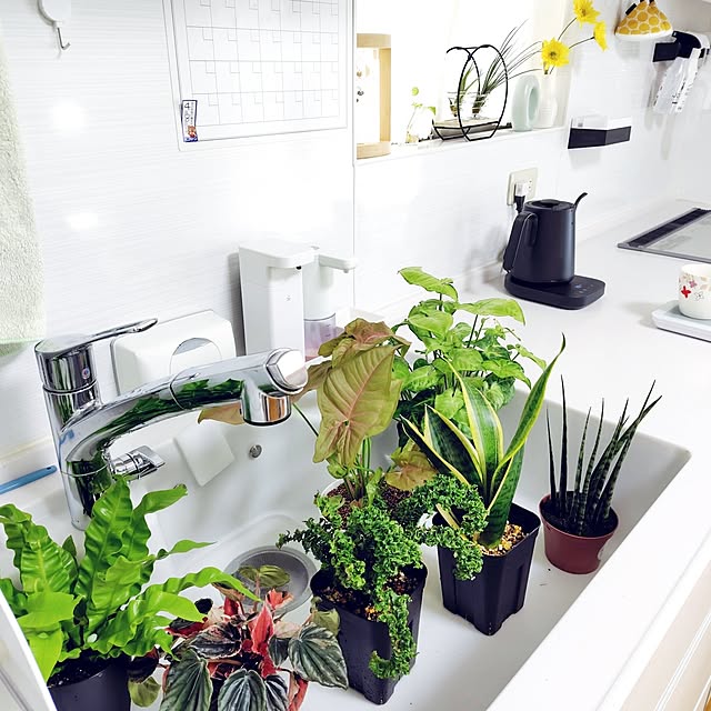 nachiさんの実例写真