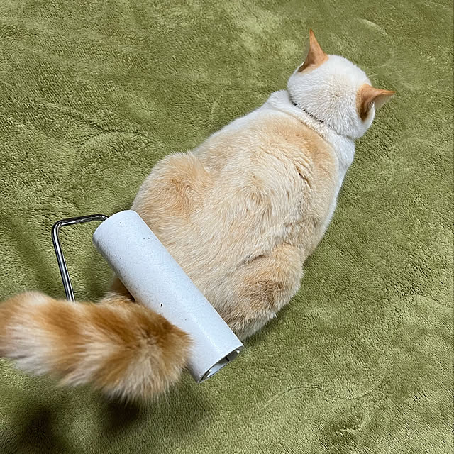 mohhaさんの実例写真