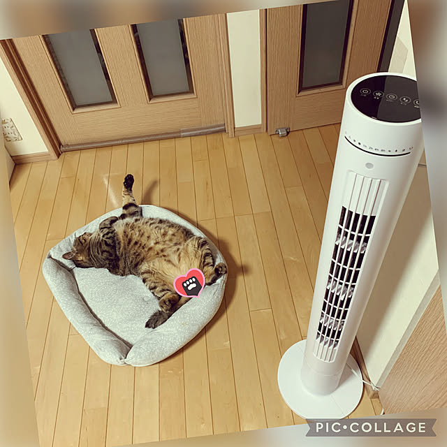 yukarin-gardenさんの実例写真