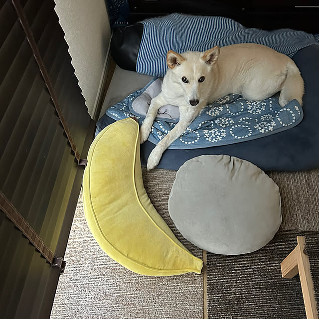 tanboさんの部屋