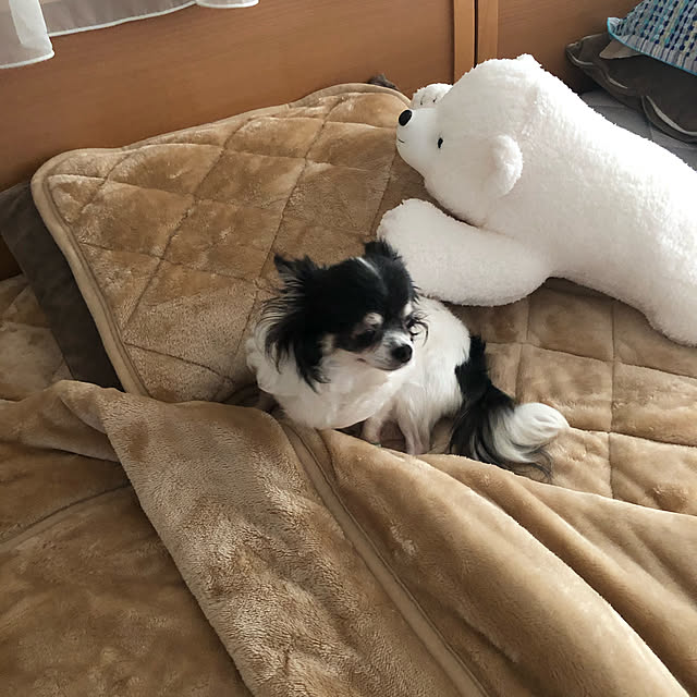 YMZKさんの実例写真