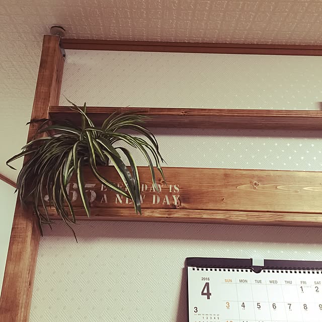 takuhahaさんの実例写真