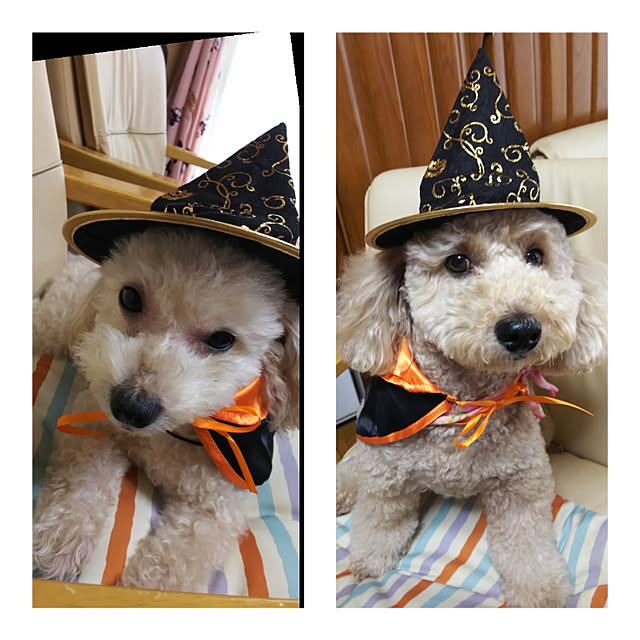 yumirinさんの実例写真