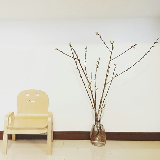 satoさんの実例写真