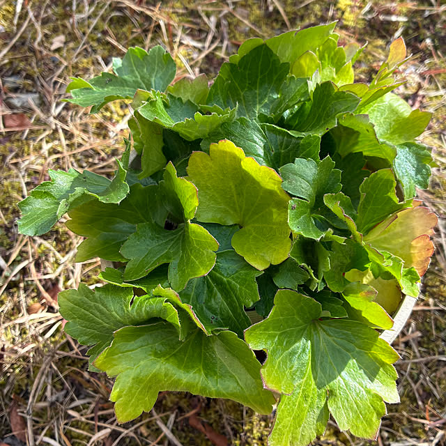 ayayayayaさんの部屋