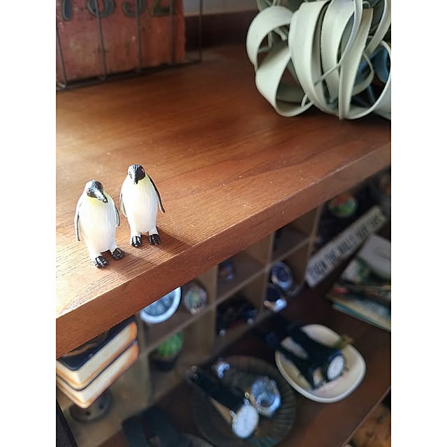 acoacoさんの実例写真