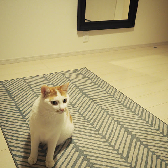 姿見鏡/ラグ/建売住宅/部屋全体/IKEAのインテリア実例 - 2020-11-01 21:03:41