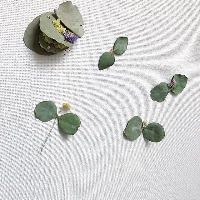 nakariさんの実例写真