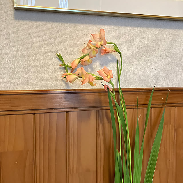 akさんの実例写真