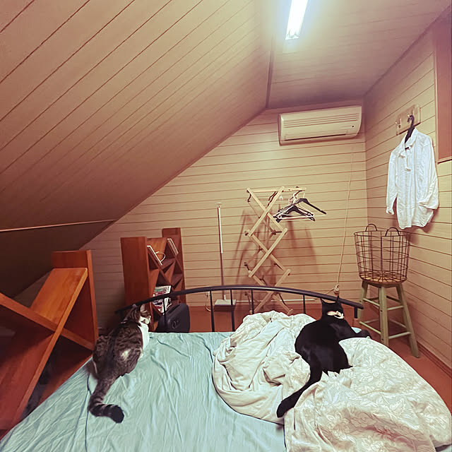 jijiさんの実例写真