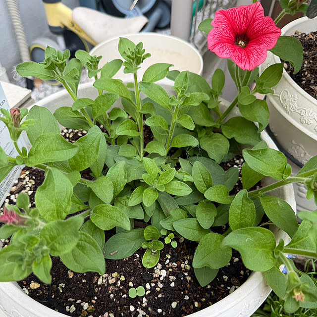 yun.mkrさんの部屋