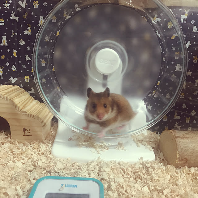 Nanaaさんの実例写真