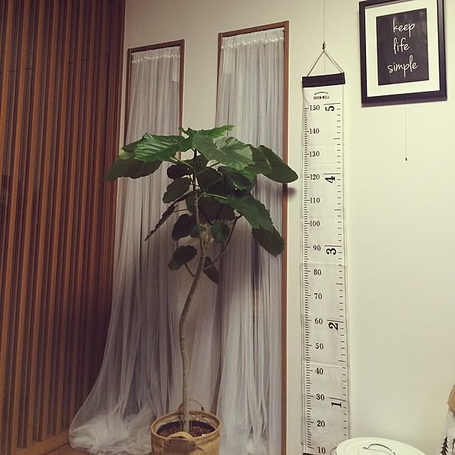 nonさんの実例写真