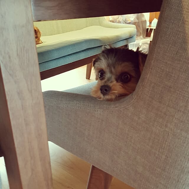 ma_d0_kaさんの実例写真