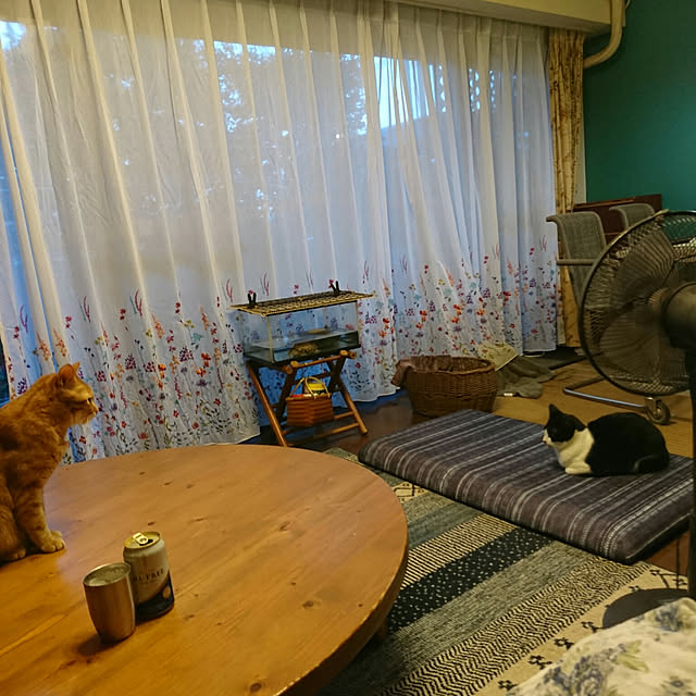 okyosan101さんの実例写真