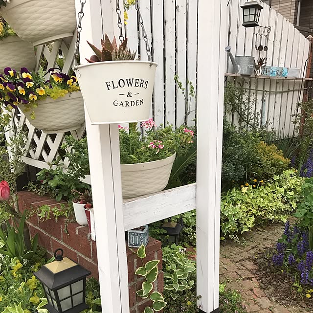 **yuu**さんの実例写真