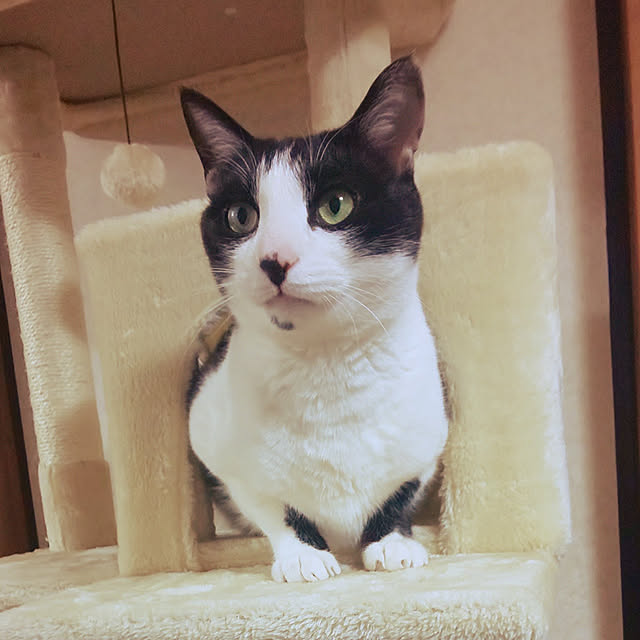 oseroさんの実例写真