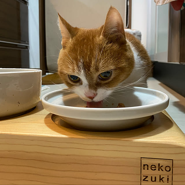 KotarouKunさんの実例写真