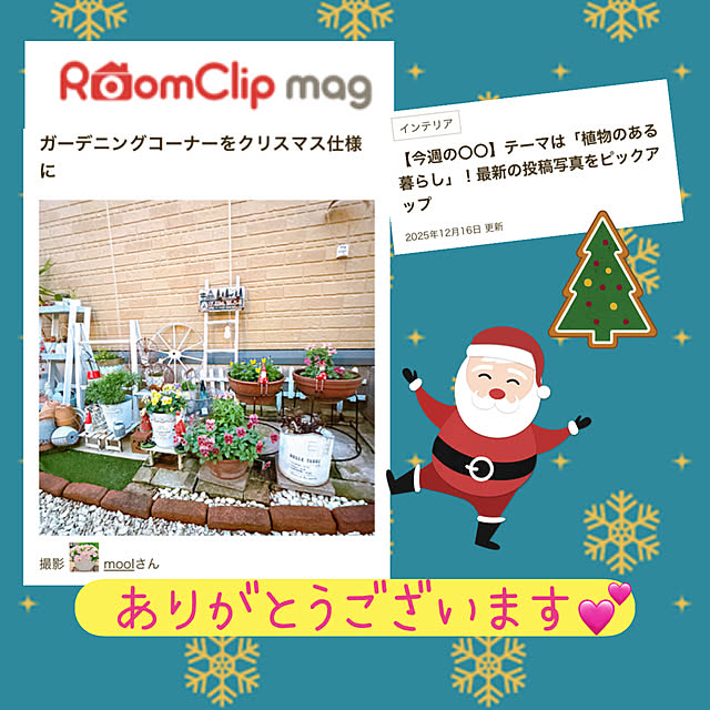 moolさんの実例写真