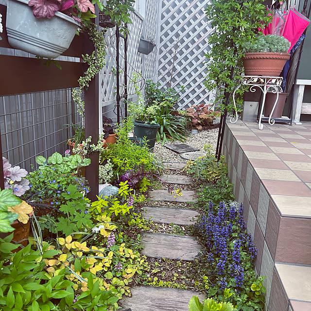 hinamamaさんの部屋