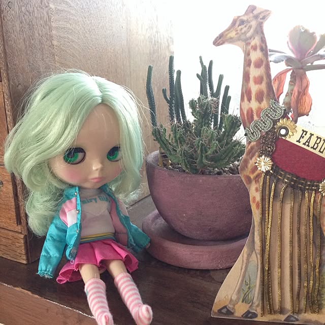 pino117さんの実例写真