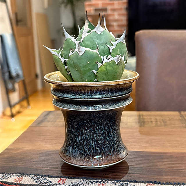 japitonさんの実例写真