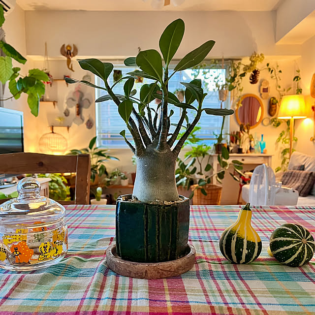 ochoriさんの部屋