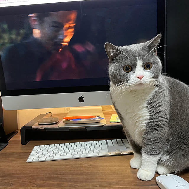 minaさんの実例写真