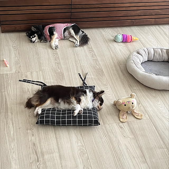 Hannahさんの実例写真