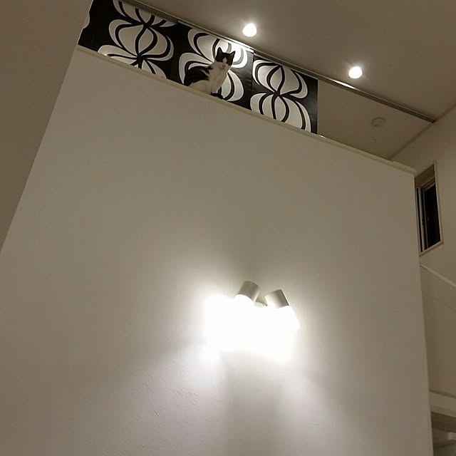 runayucoさんの実例写真