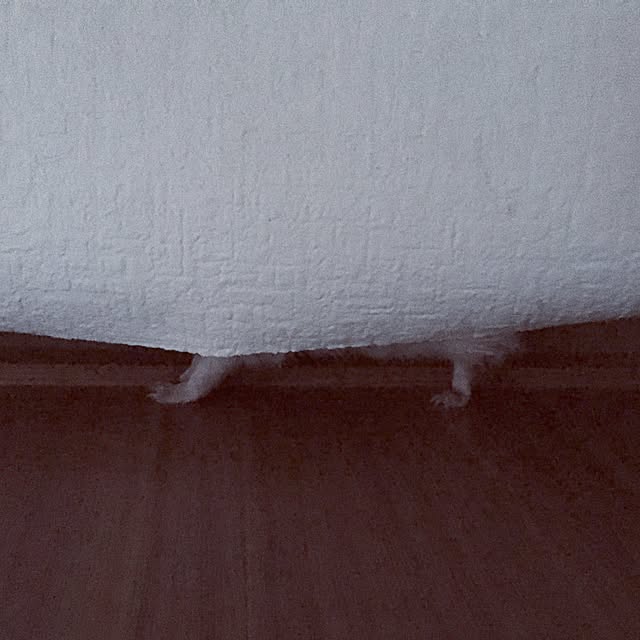 saokoさんの実例写真