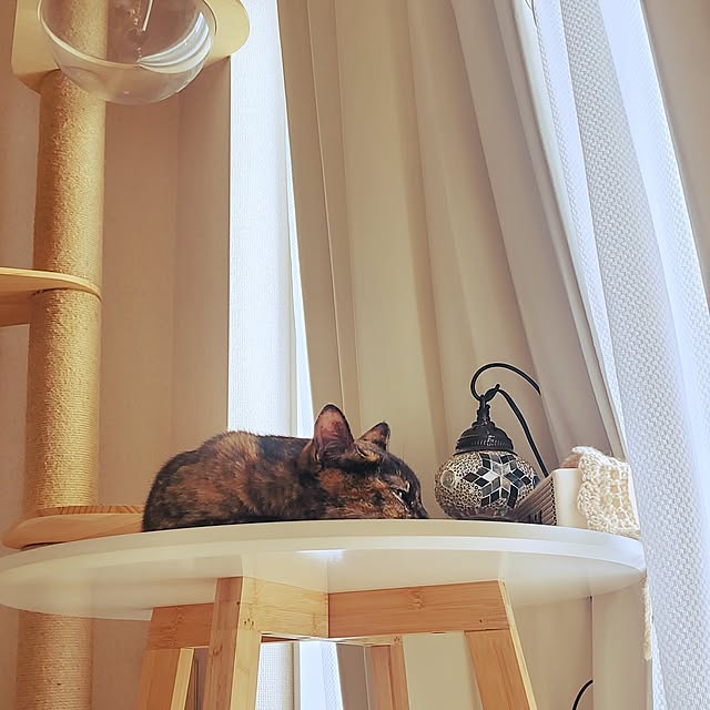 JIHYEさんの実例写真