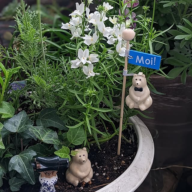 ichi.さんの実例写真