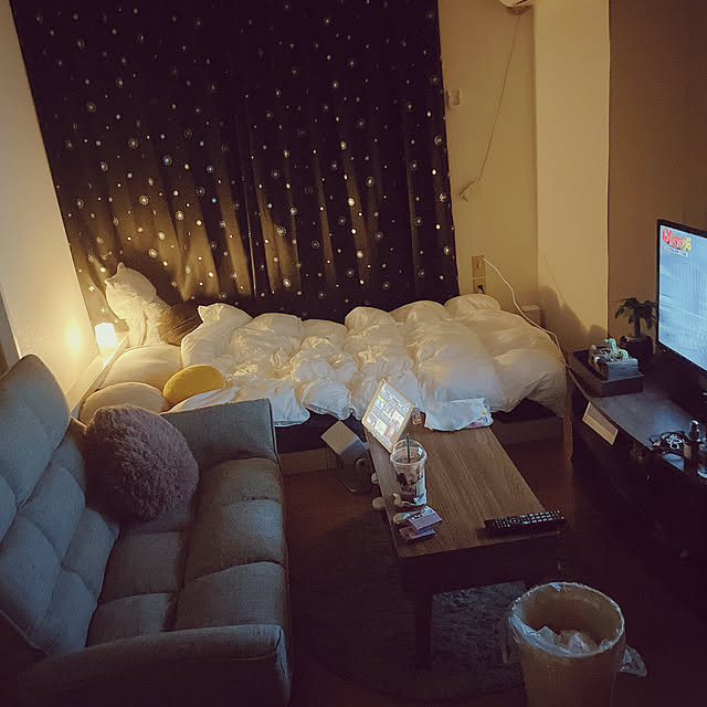 実例写真