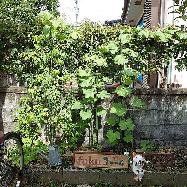 fukuさんの実例写真