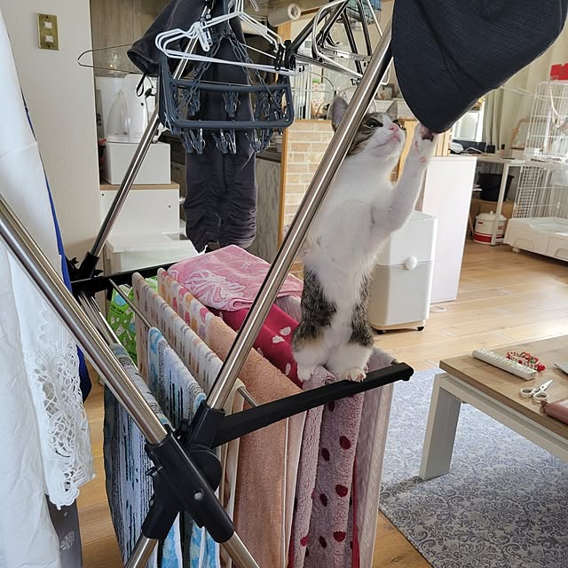 akimameさんの部屋