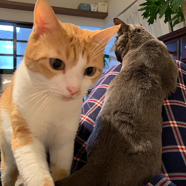 73さんの実例写真