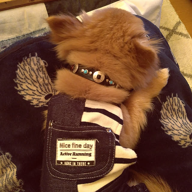 tomominさんの実例写真