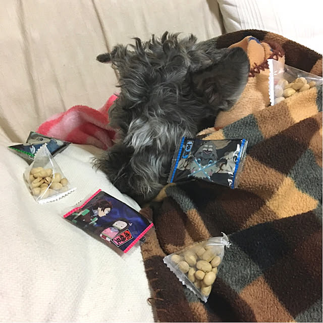 simple_blowbackさんの実例写真