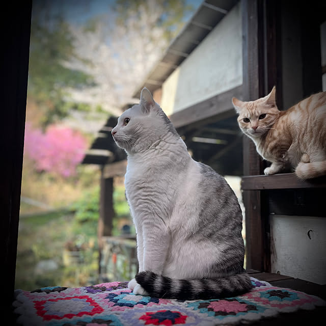 marusanさんの部屋