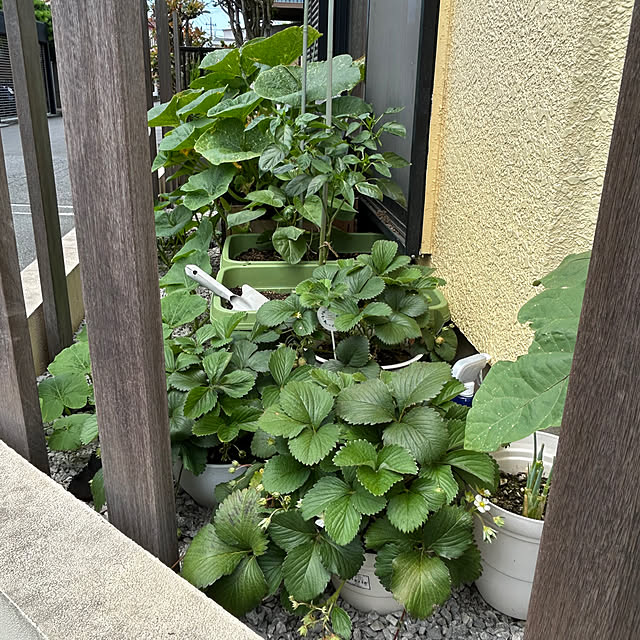 enotasoさんの部屋