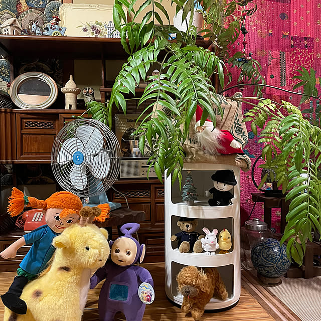 shin0719さんの実例写真