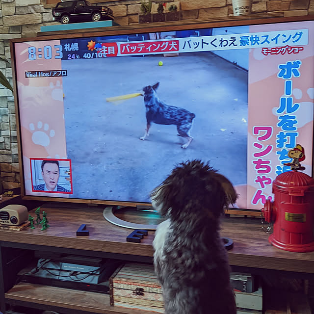 GINさんの実例写真