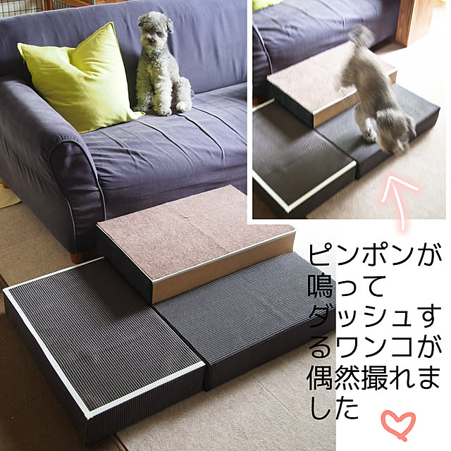 hakoniwaさんの実例写真