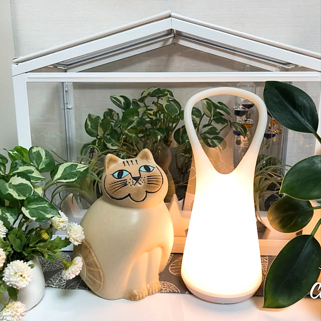chapipiさんの実例写真