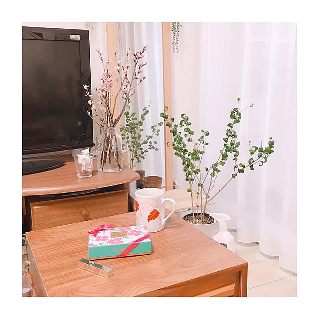 mikiteacupさんの実例写真