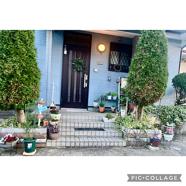 CoCo0617さんの部屋